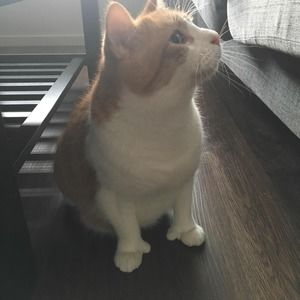 Meet your Posher, Marie